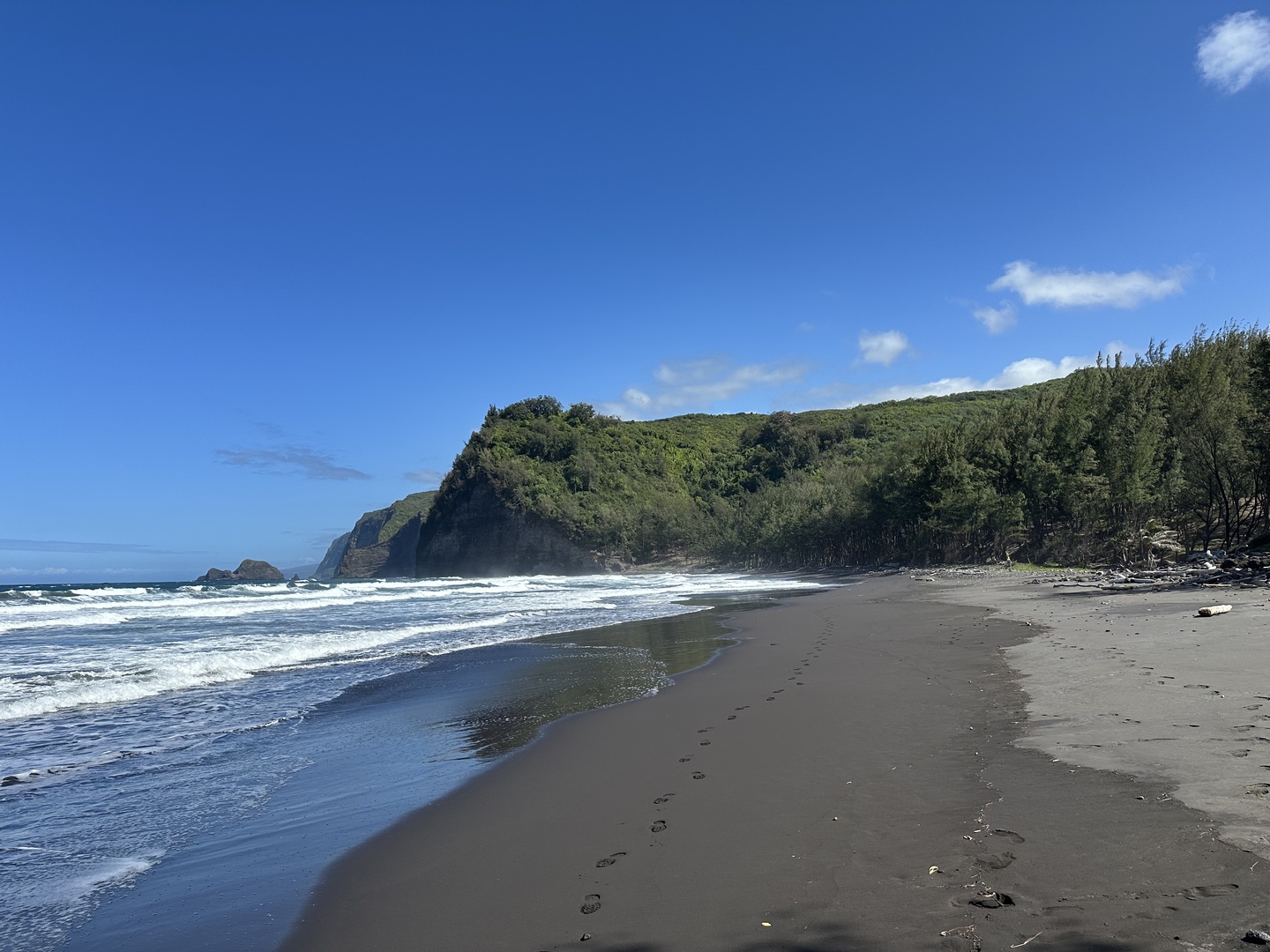 Black Sand beach at Pololū Valley