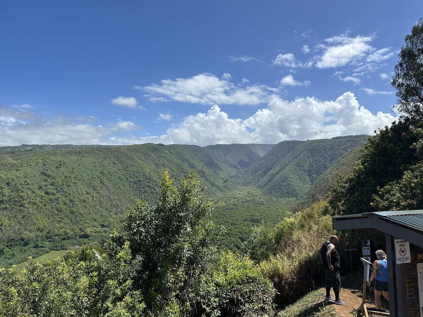 View from the Pololū Valley Trailhead - ready to walk down the 15 min trail to the beach and forest area