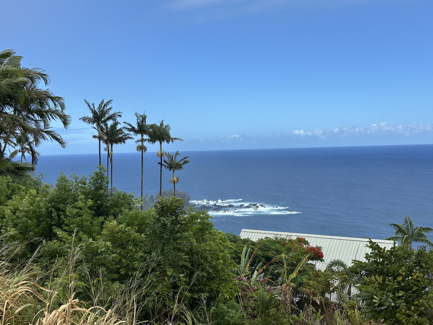 View on the ocean from the scenic byway