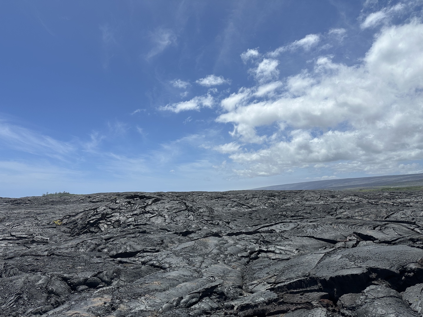 Stopped outside the park to look at this old lava field