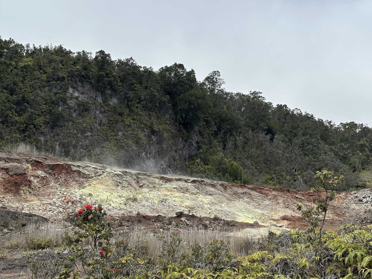 Very nice smell at the Sulphur Banks, where gas comes out of the ground continuously