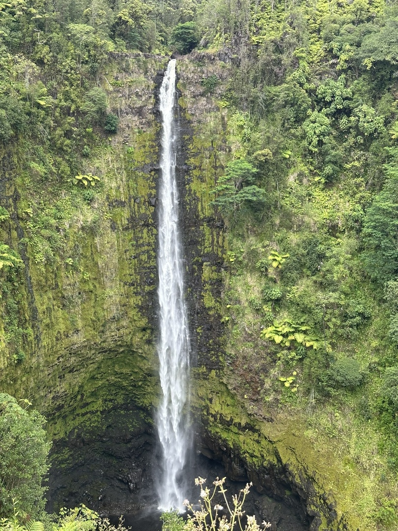 Akaka Falls - a 135 meters high waterfall
