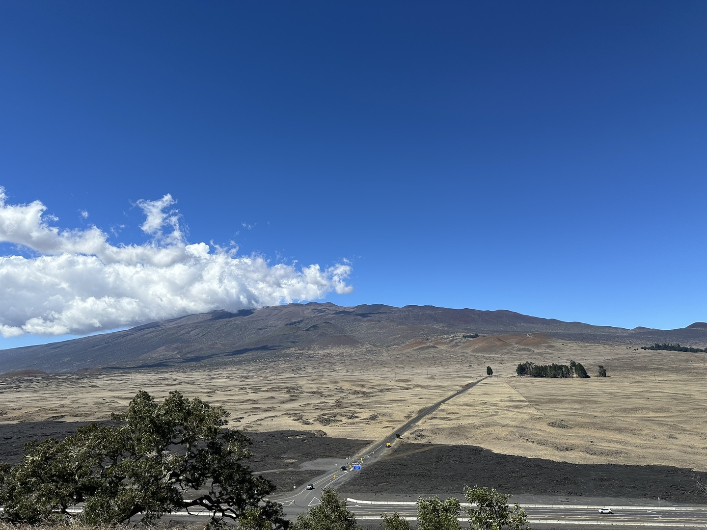 Half way up - quick stop for a small hike and look on Mauna Kea