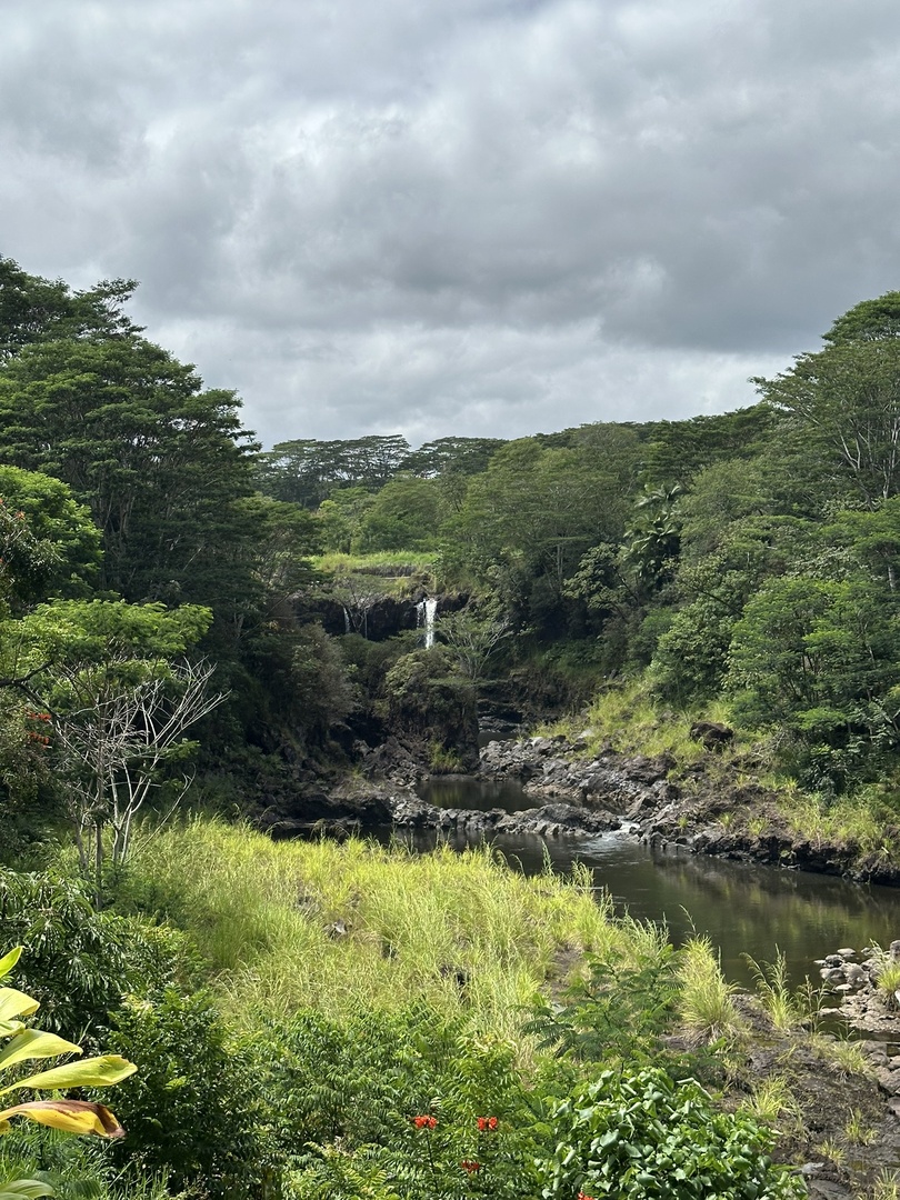 Pepe Falls - small but still very nice in the jungle
