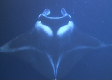 On my way to Kailua-Kona