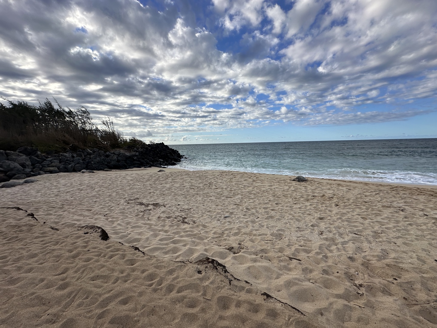 Afterwards relaxing at the beach with some turtles