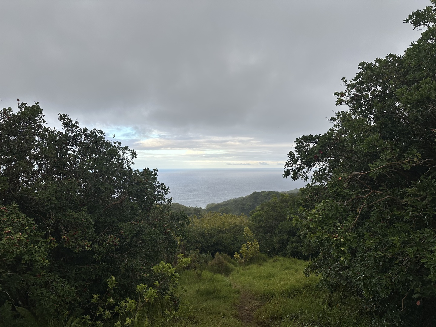 Another view point on the ocean