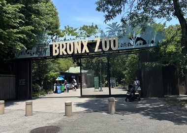 A Day in the Bronx Zoo