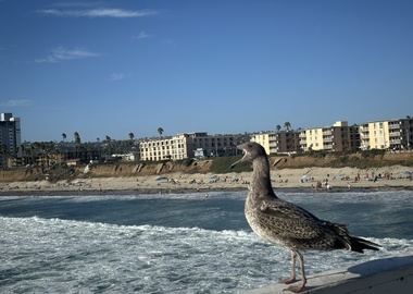 A couple Days in San Diego to start my Trip