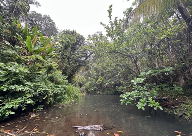 Rainy start in Big Island